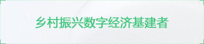 乡村振兴数字经济基建者